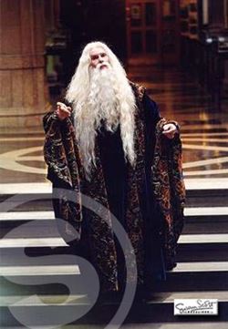 Professor Dumbledore 